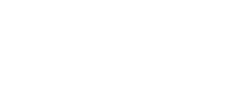 Pro Persona